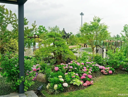 园林技术和园艺技术的区别，别再傻傻分不清！一篇讲透两者核心差异