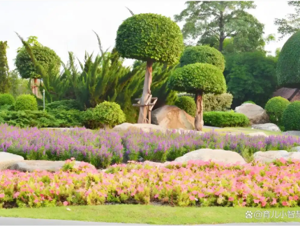 园林技术和园艺技术的真正区别