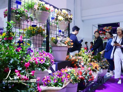 2026年中国（北京）国际花卉园艺展览会