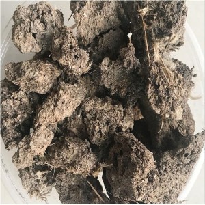 天然晾晒鸡粪块